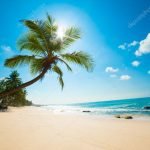 depositphotos_12091039-stock-photo-tropical-beach